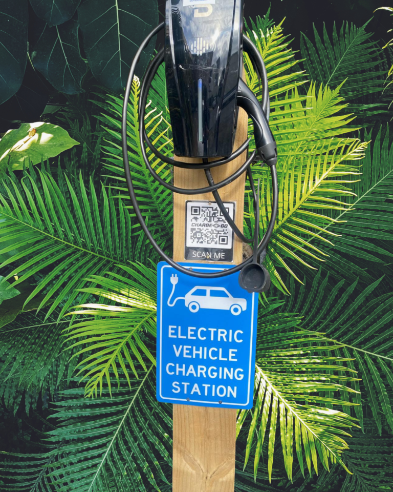 EV Charging Station